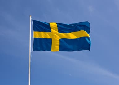 Sveriges Nationaldag/ Lovdag 