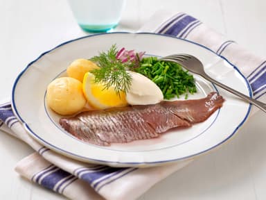 Matjessill med kokt potatis, gräddfil och gräslök